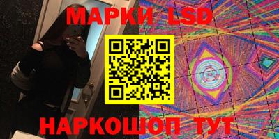 стаф Дубна