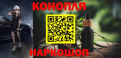 стаф Дубна