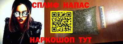 стаф Дубна