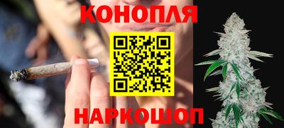 стаф Дубна