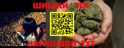 стаф Дубна