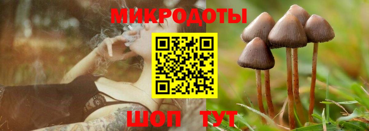 Псилоцибиновые грибы GOLDEN TEACHER  Галлюциногенные грибы Psilocybine cubensis  Малгобек  Вход с VPN 